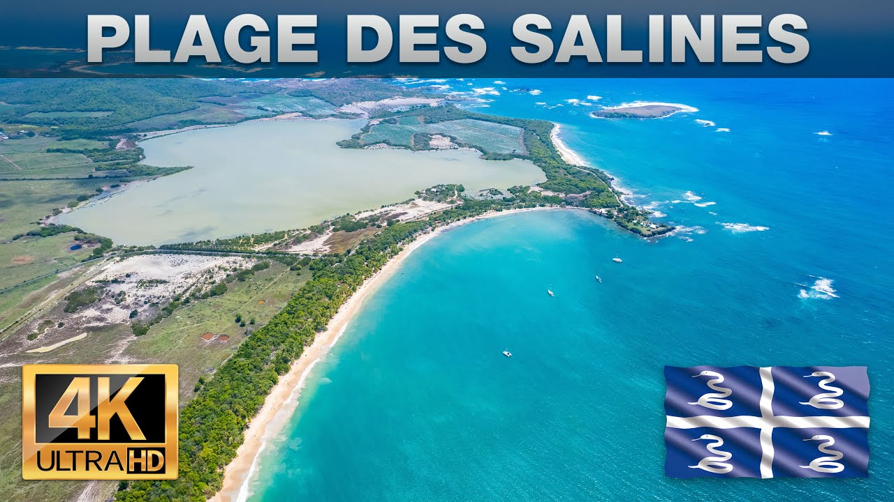🇲🇶 Martinique - Plage des Salines by drone (4K 60fps UHD)