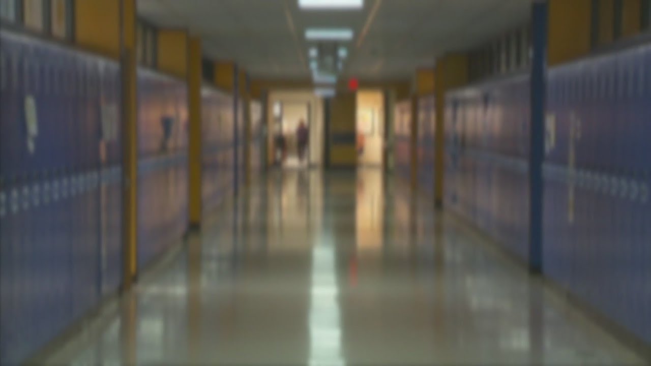 Minneapolis, St. Paul Public Schools Divided Over Distance Learning