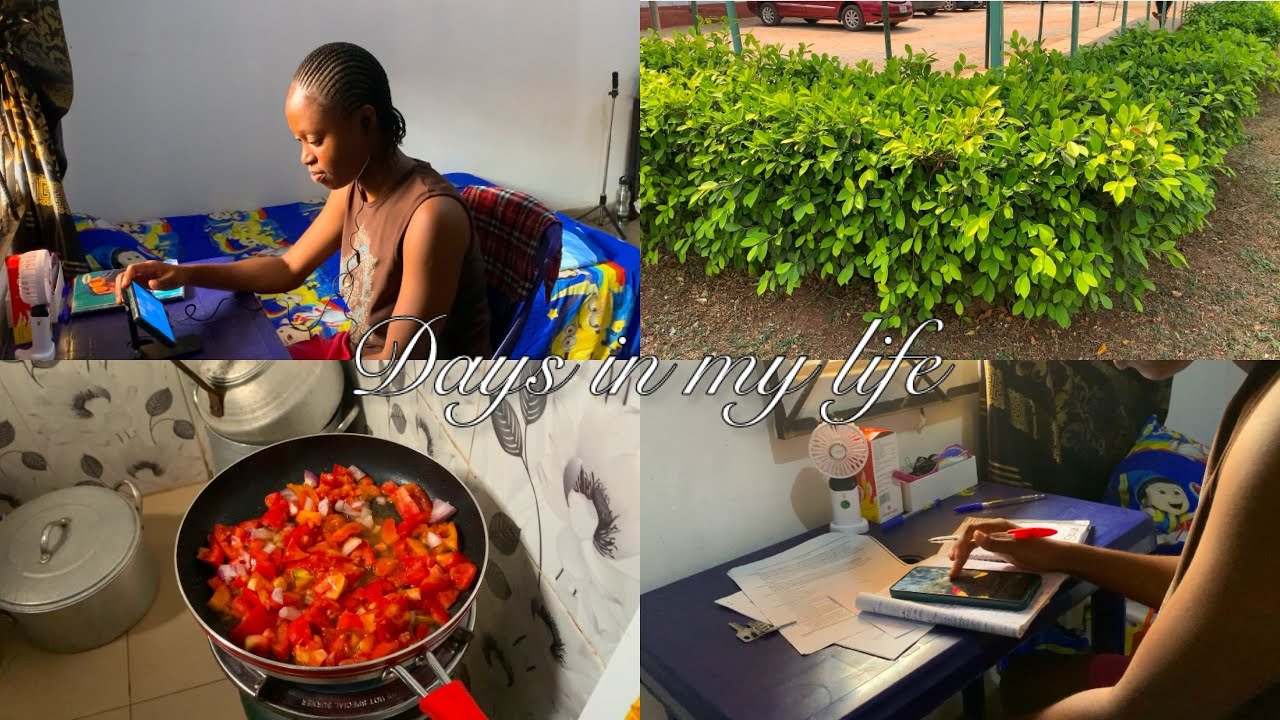 Days in my life | living alone | life of an introvert in Nigeria 