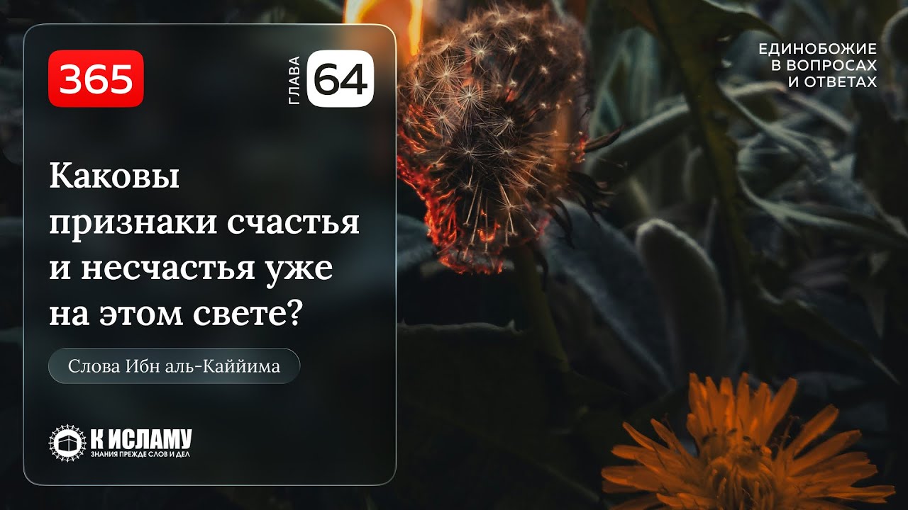 365. Глава 64. Каковы признаки счастья и несчастья уже на этом свете? Единобожие в вопросах и ответа