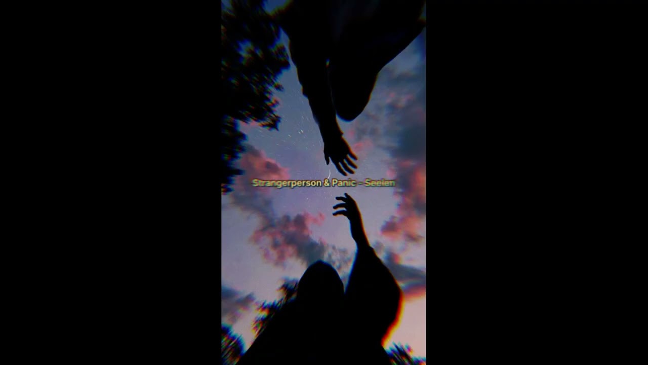Strangerperson & Panic - Seelen