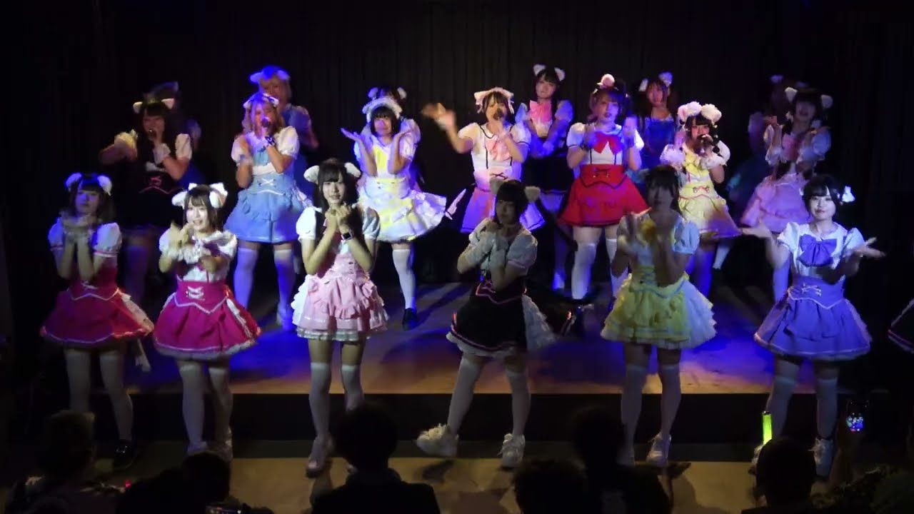 2025年8月3日 にゃんぽんたん劇場ライブ