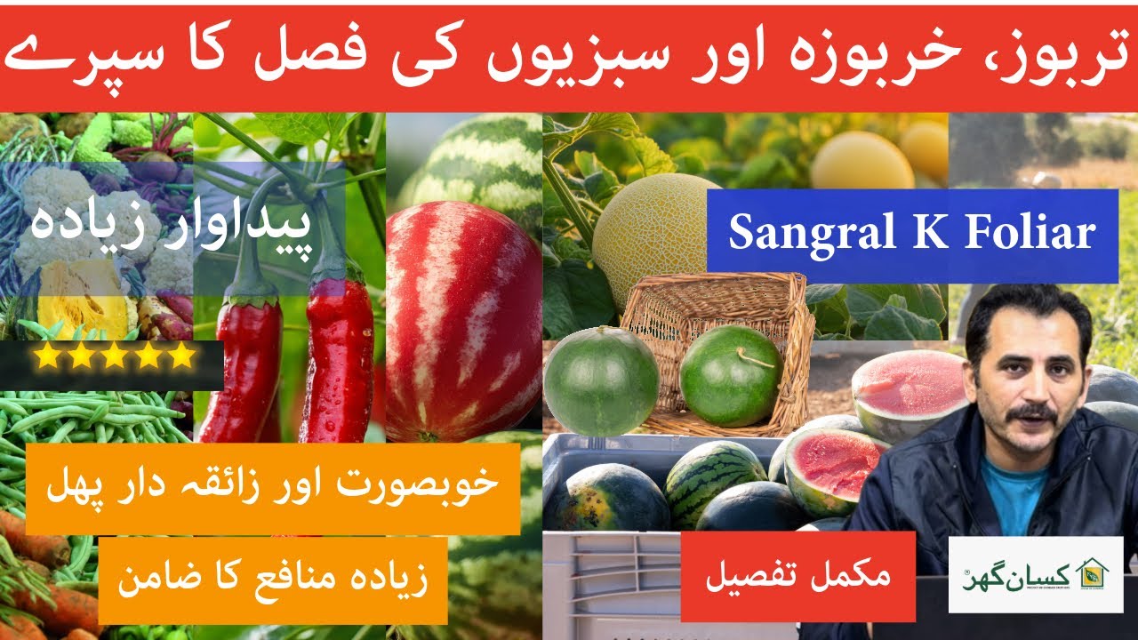 Sangral Hi K Foliar Spray for watermelon, melon and vegetable crops to boost fruit quality yield 
