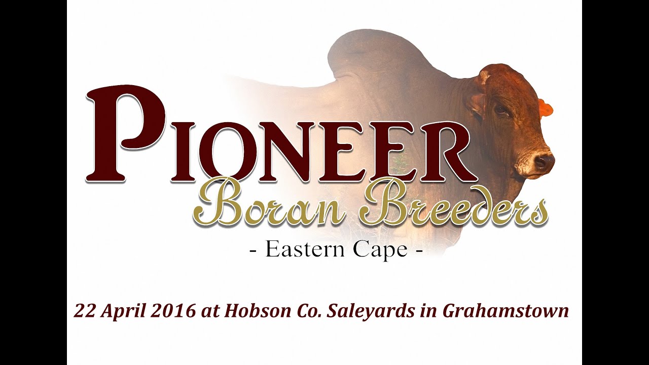 Pioneer Sale 2016