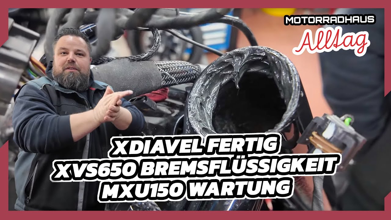 XDiavel Lenkkopflager fertig - XVS650 Bremsflüssigkeit - MXU150 • Motorradhaus Alltag Folge - 104