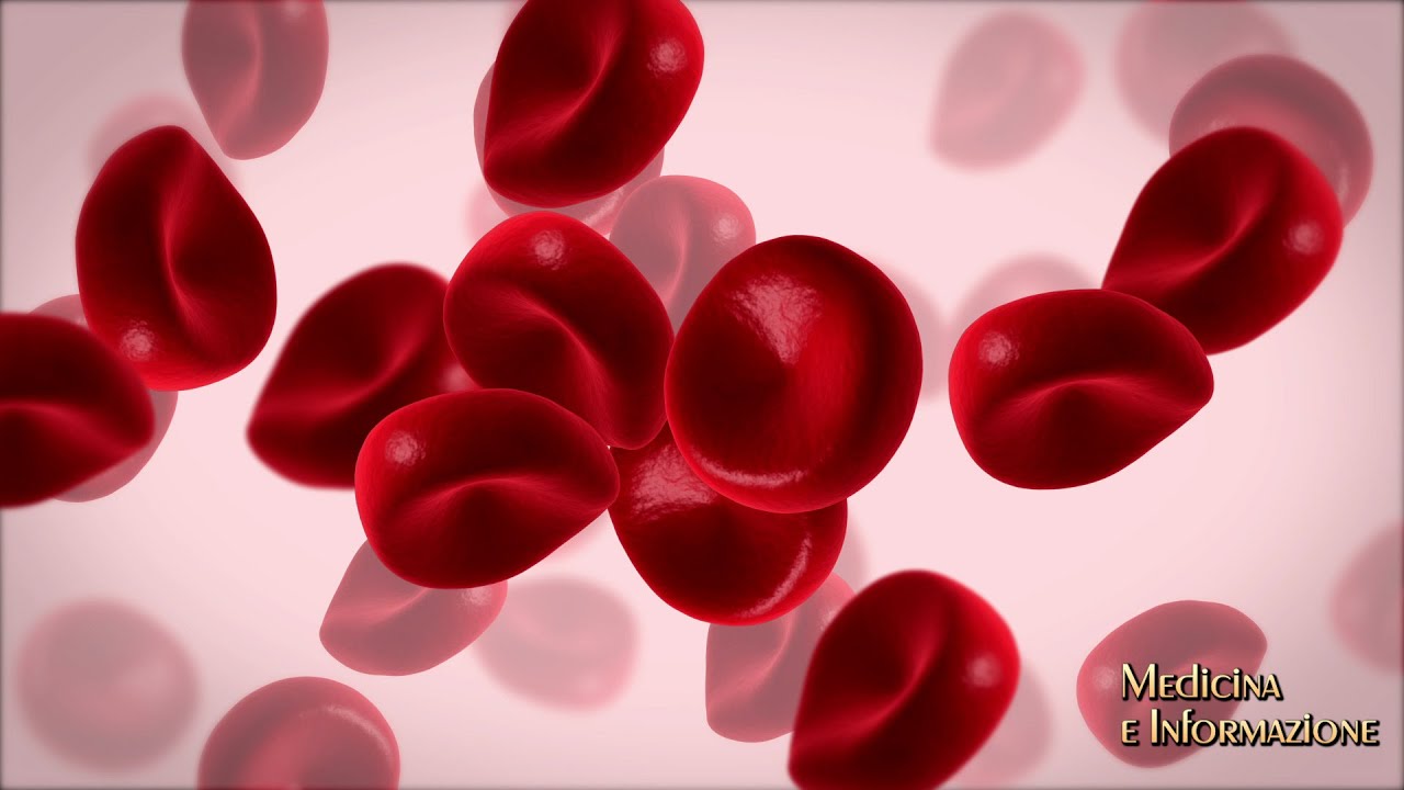 I PROGRESSI NELLA CURA DEI TUMORI DEL SANGUE: protocolli senza chemioterapia, farmaci target, Car-T