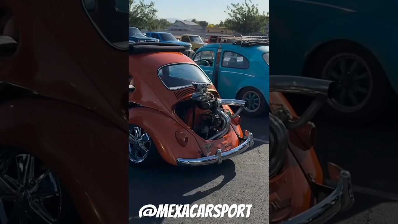 Vw Vocho #vocho #vochomx #fuscabrasil #beetle #vwsedan #volkswagen #Vwlifestyle #vwoval #porsche