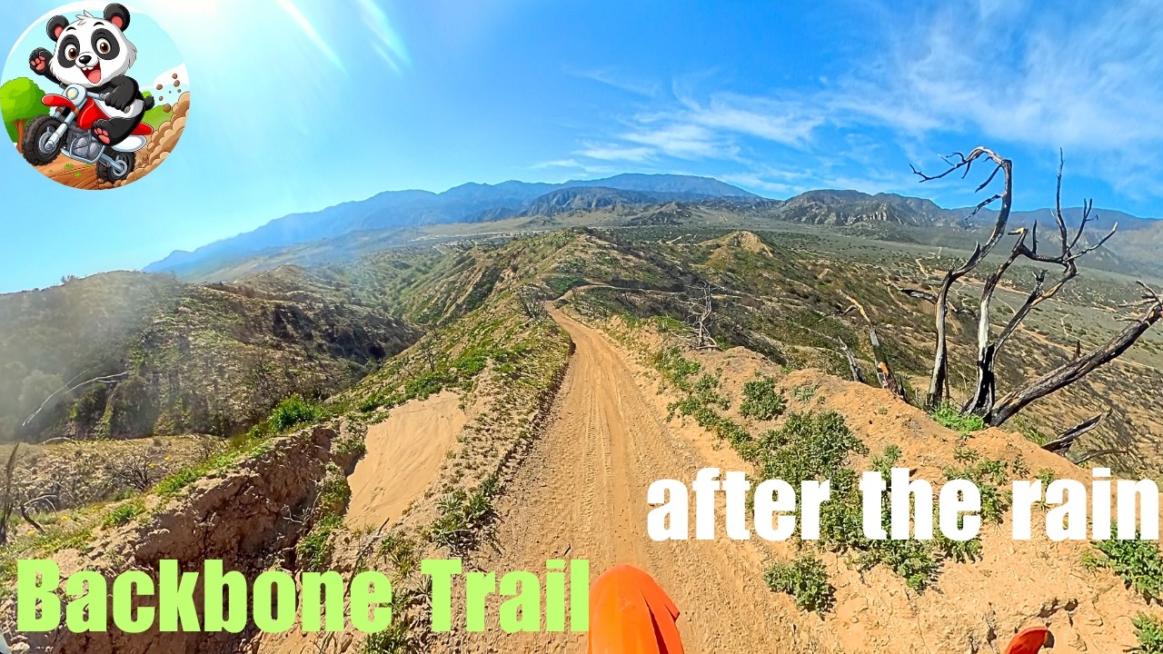 Backbone Trail at Hungry Valley