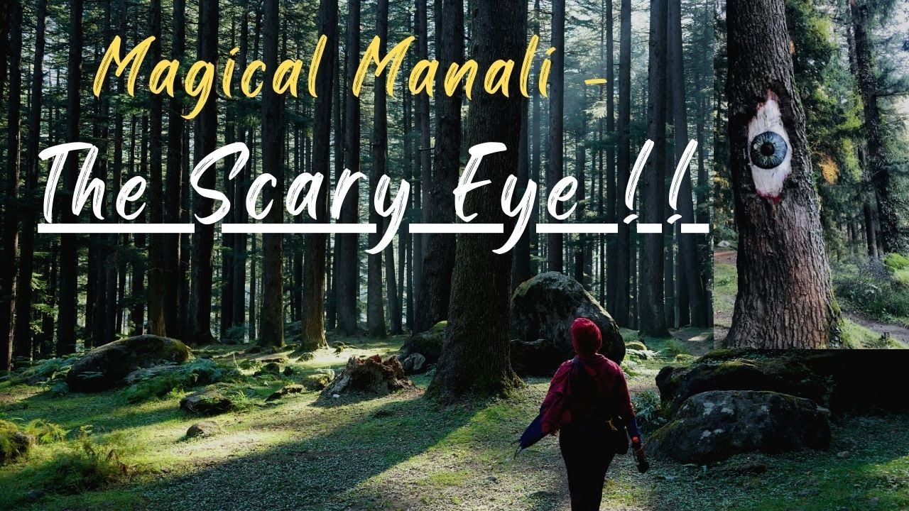 Nature Walk in search of The Scary Eye !! | Manali Nature Park