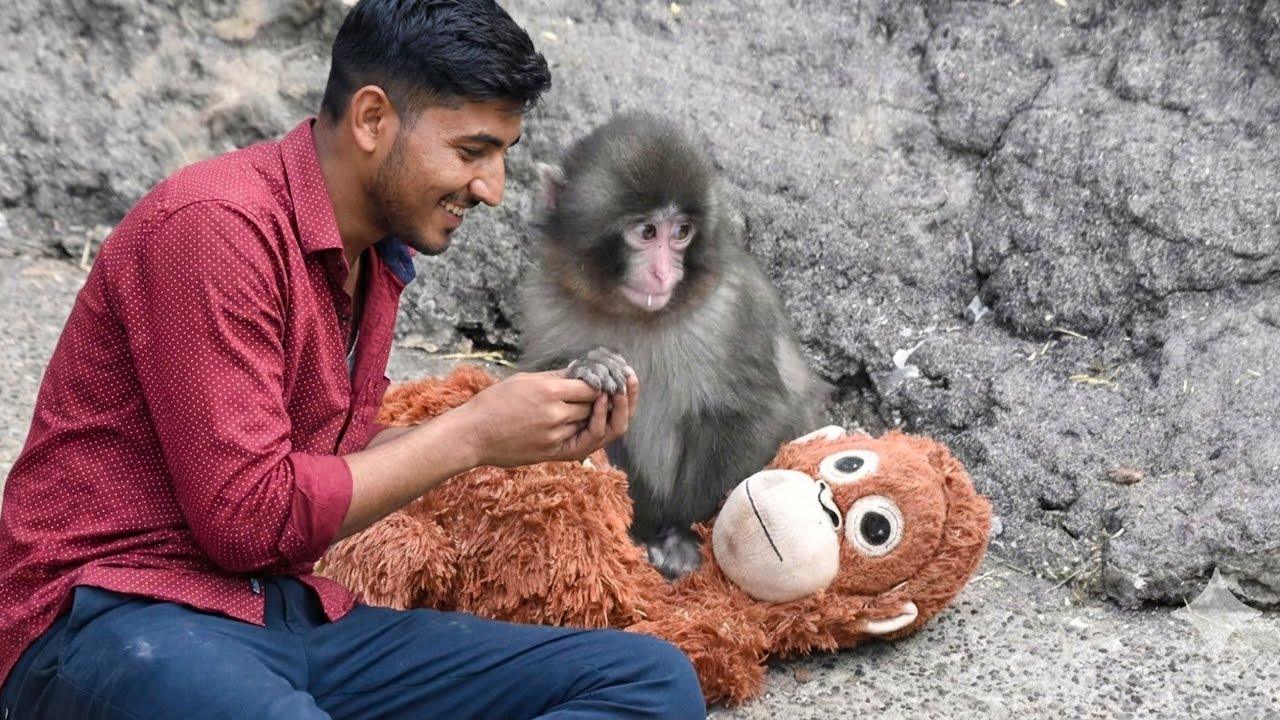 I meet this monkey 🐒 in another universe 🫢🥹