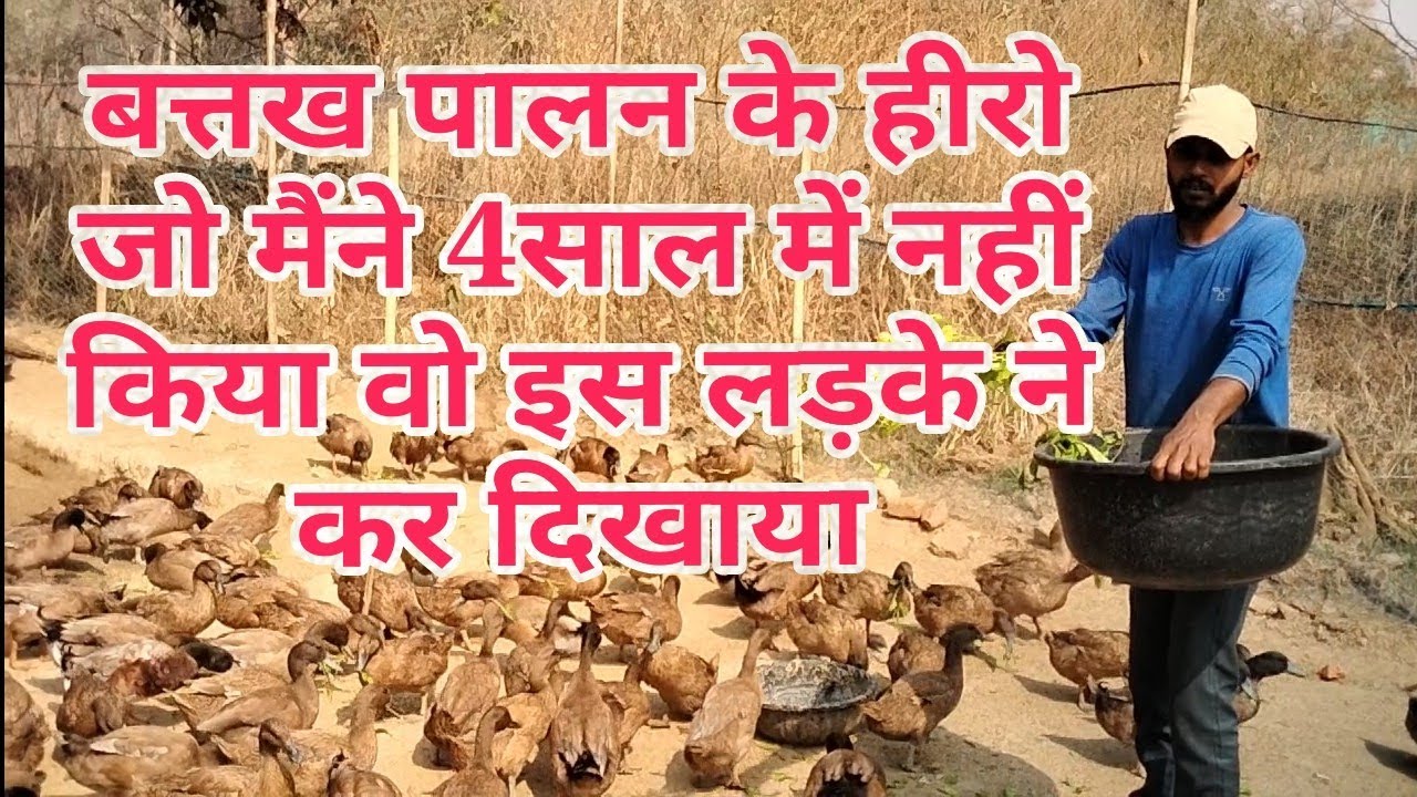 Duck Farming// मिलिये एक ऐसे किसान से जो बतख पालन को काफी अच्छे तरीके से कर रहे है,🦆🦆🔥🔥🔥🔥🥚🥚🥚🥚💓💓💓