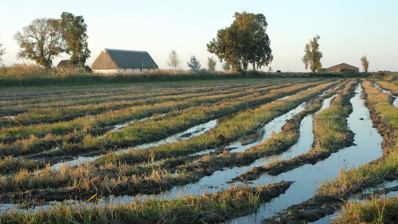 Soluciones basadas en la naturaleza, el modelo de Riet Vell