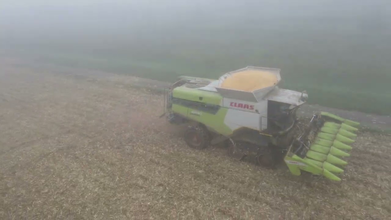 Mais Ernte 2024- Claas Lexion 8700 TT bei Andlauer GBR