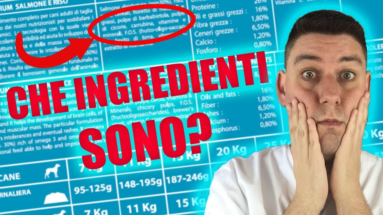 Carne nei croccantini: qual è il SIGNIFICATO degli ingredienti?