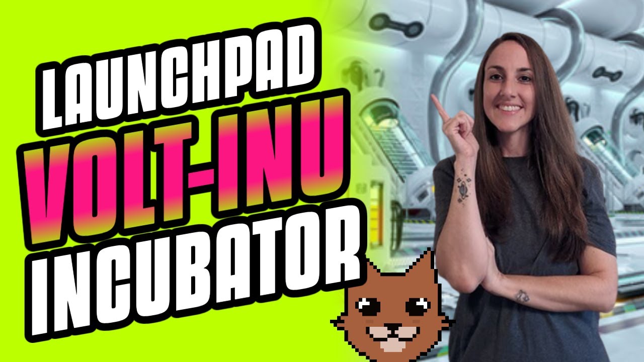 Volt Inu- Launchpad and Incubator?!?! WHAT?!