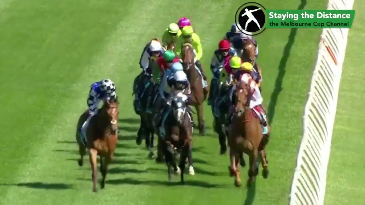 Bendigo Cup 2024 | Sea King, Knight's Choice, Whisky On The Hill