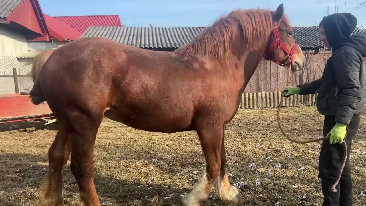 +380 (68) 669 06 84 всі деталі