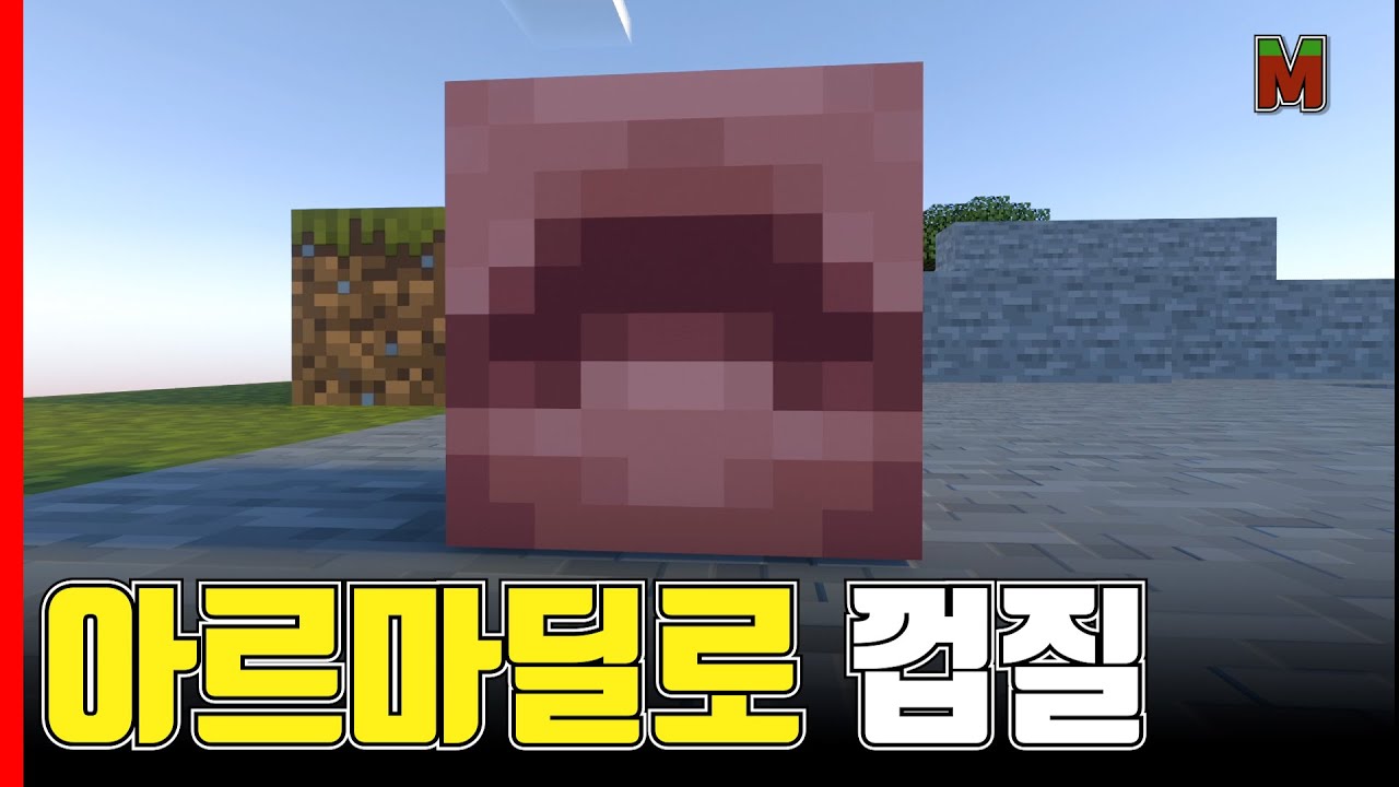 아르마딜로 껍질의 비밀