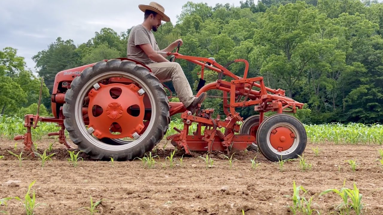 Old School Sweet Sorghum Cultivation In North Carolina v12