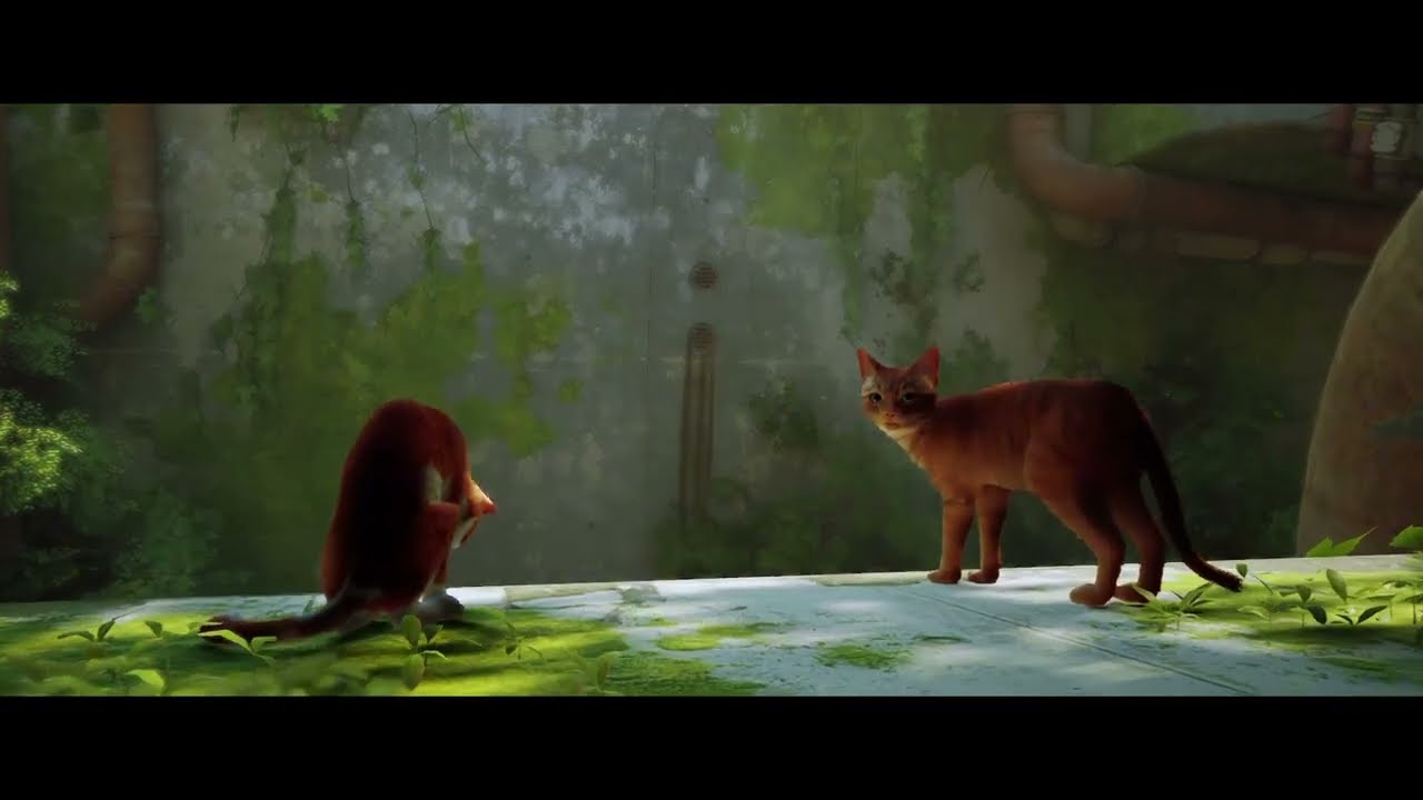 New adventure | Stray gameplay (Ep 1)