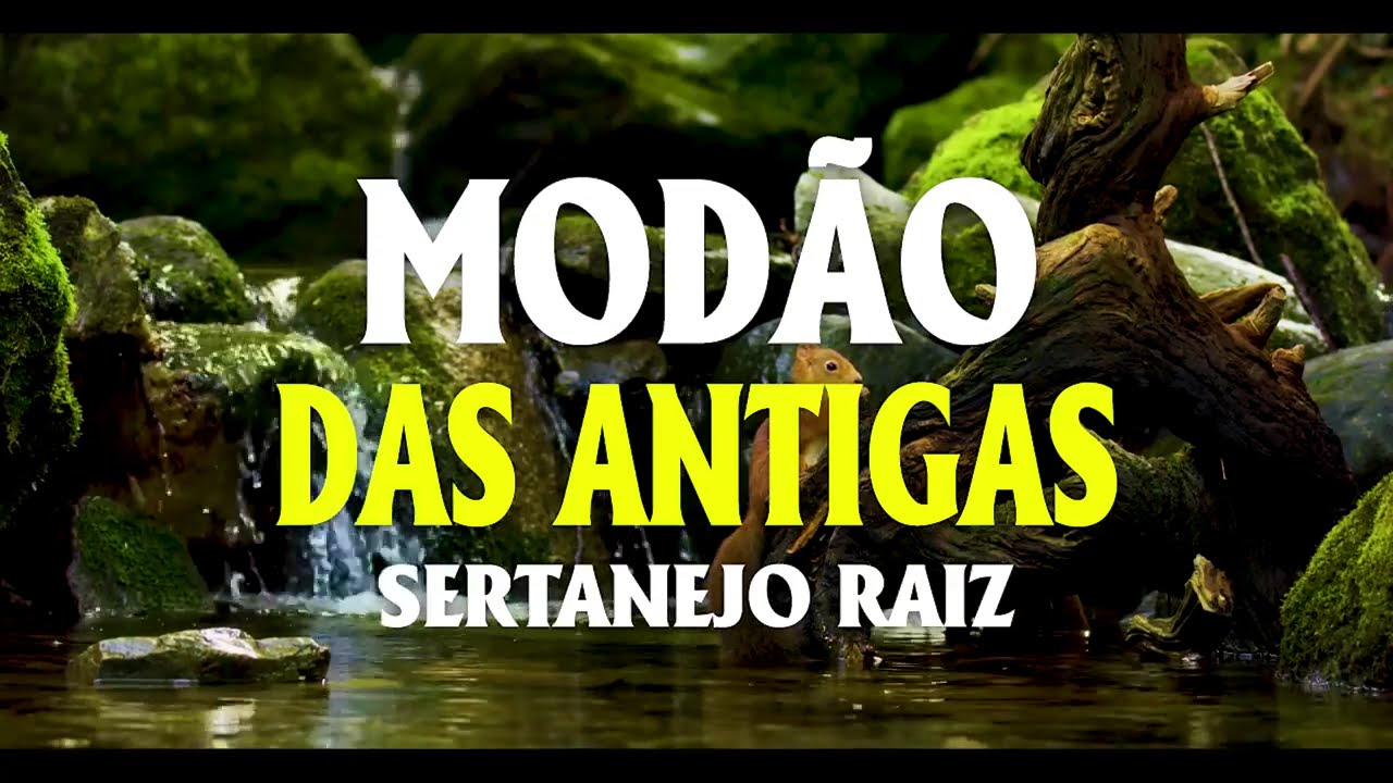 MOD&Atilde;O DAS ANTIGAS 💖 AS MELHORES DO SERTANEJO RAIZ | MODA DE VIOLA INESQUEC&Iacute;VEL