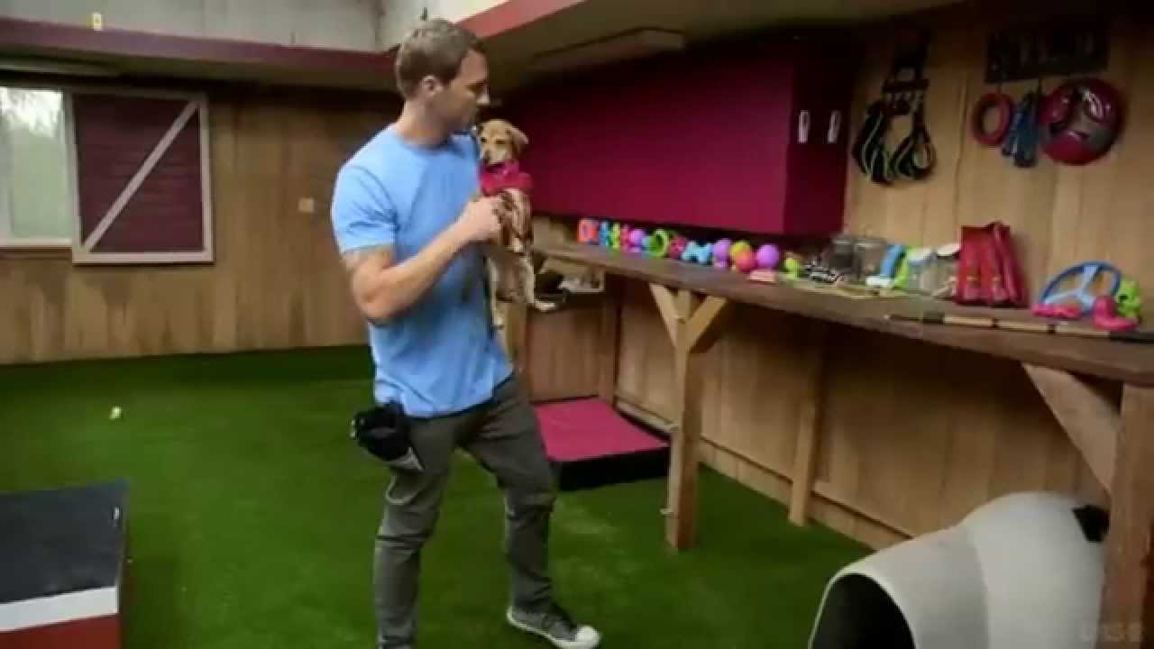 SHRINKABULLS on Lucky Dog -TV  @ Mindy Grady