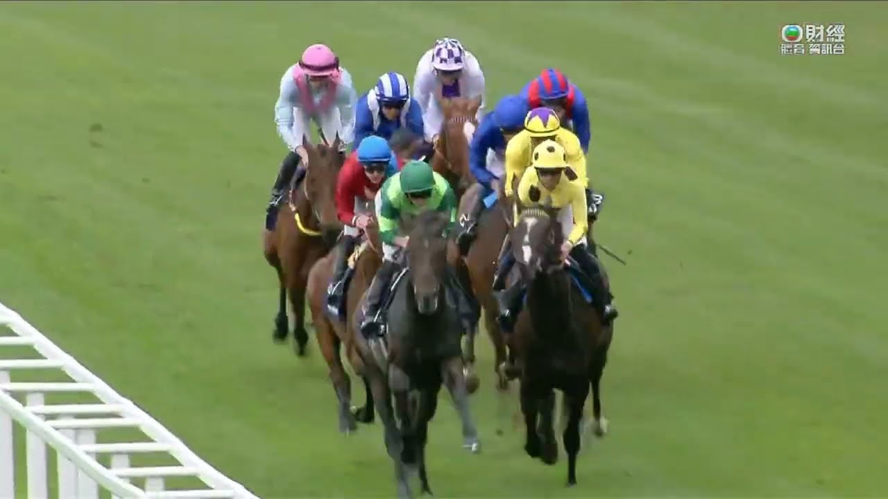 英國冠軍錦標 Champion Stakes 一級賽 G1 1993m 2022-10-15 月桂橋 Bay Bridg 雅士谷馬場 Ascot Racecourse