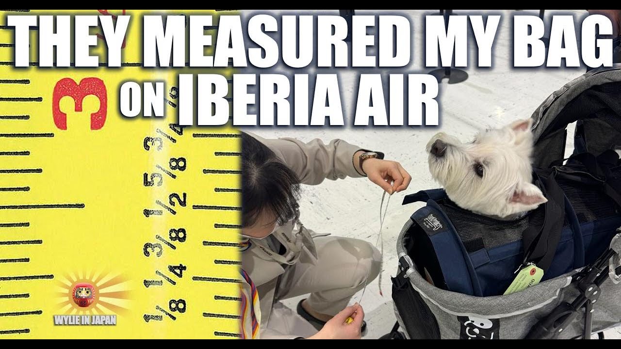 Iberia Pet in Cabin - Agent measured my Sturdibag carrier at check in!