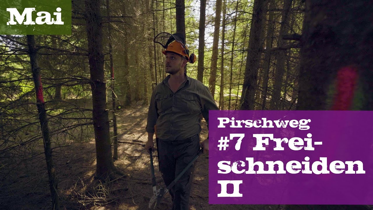 Pirschweg #7 Freischneiden II | Mai | Ein Jagdjahr durchs Jagdrevier