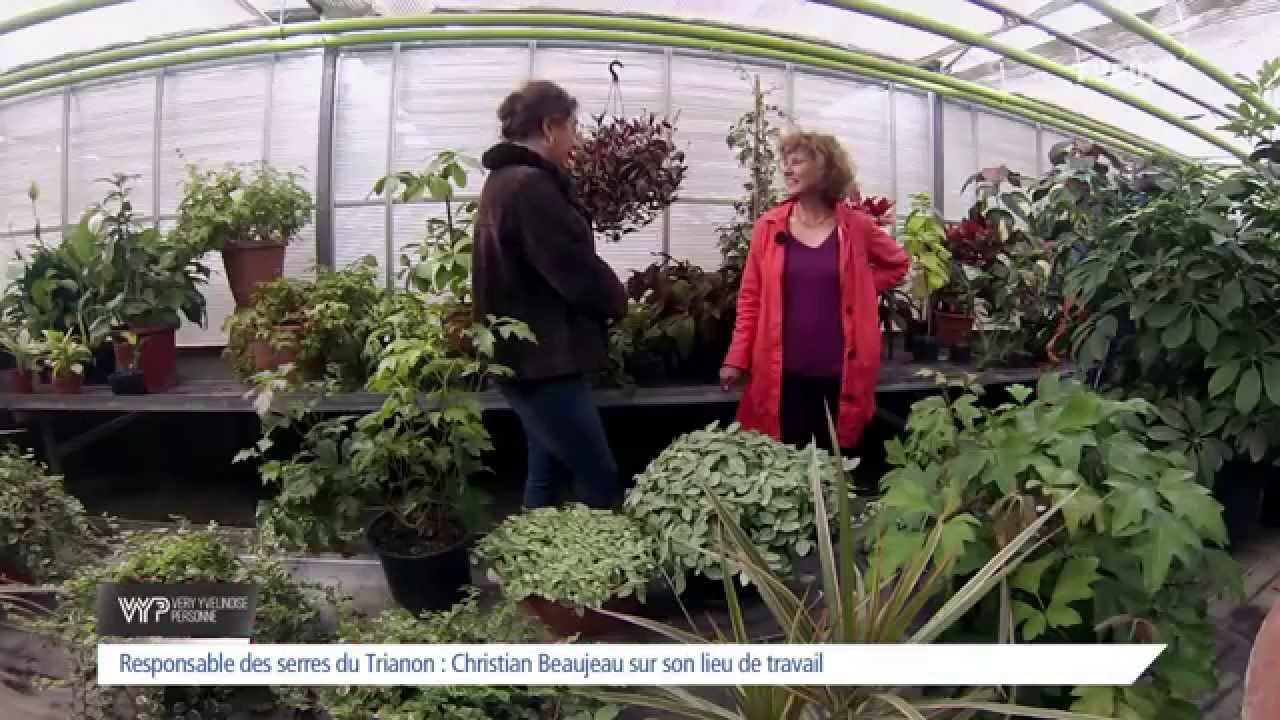 VYP – Noëlle Breham « Sous la serre »