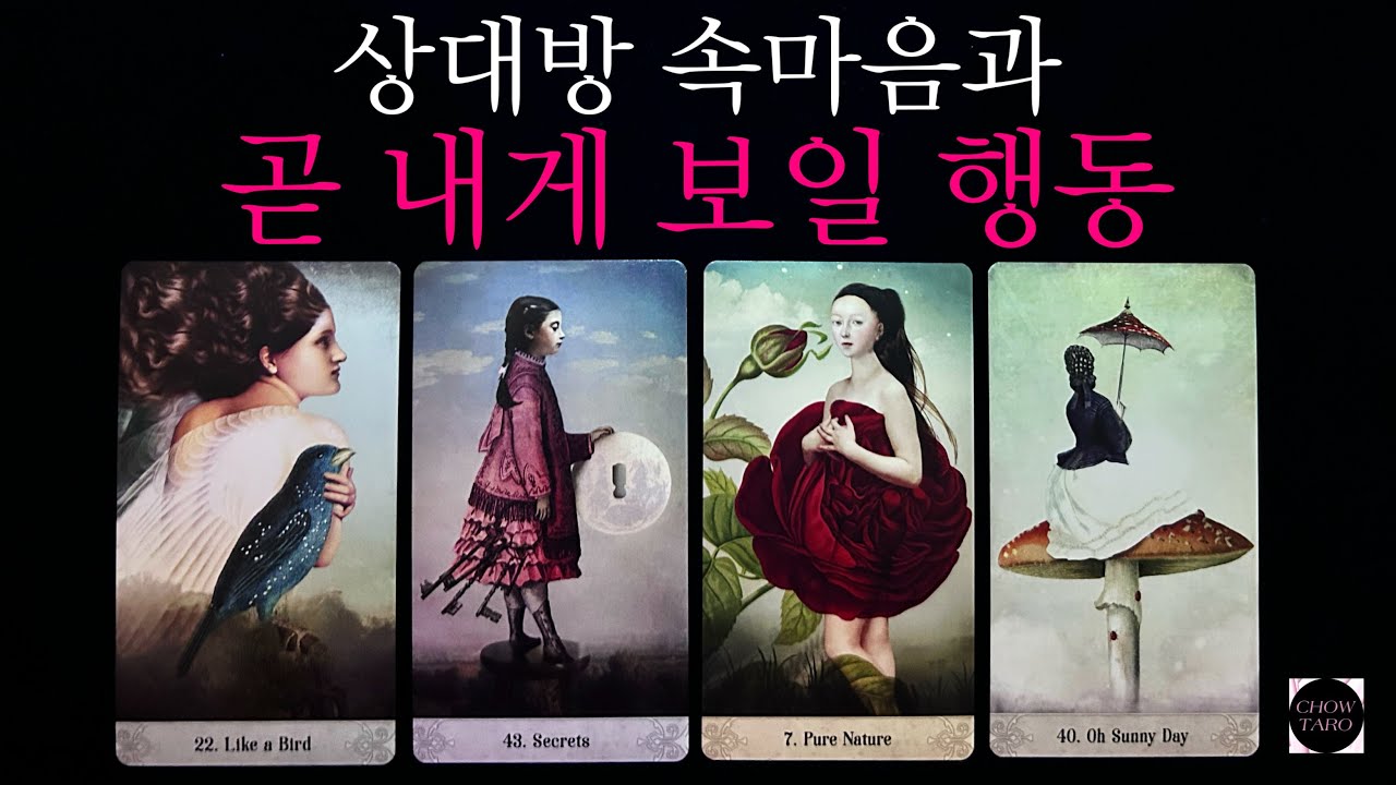 [타로]그 사람이 2주 내에 보일 행동과 속마음,원하는 것🔮