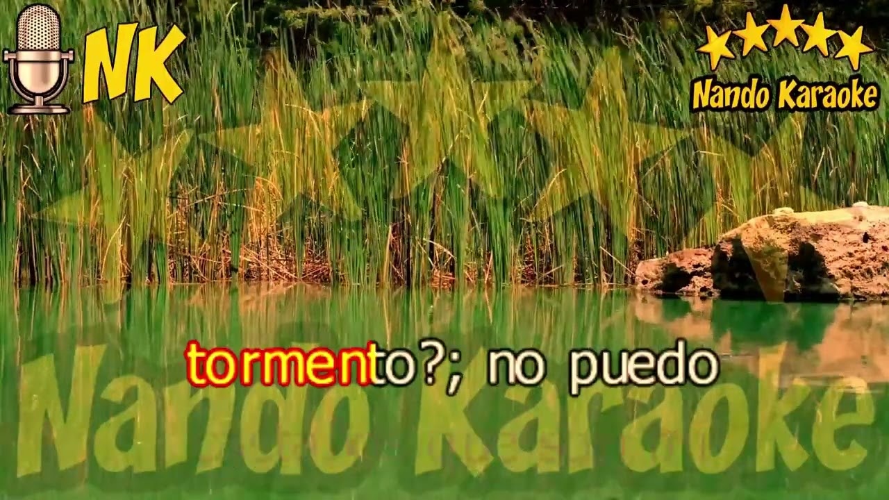 TUS OJOS CASTAÑOS - Nelson Ned Karaoke