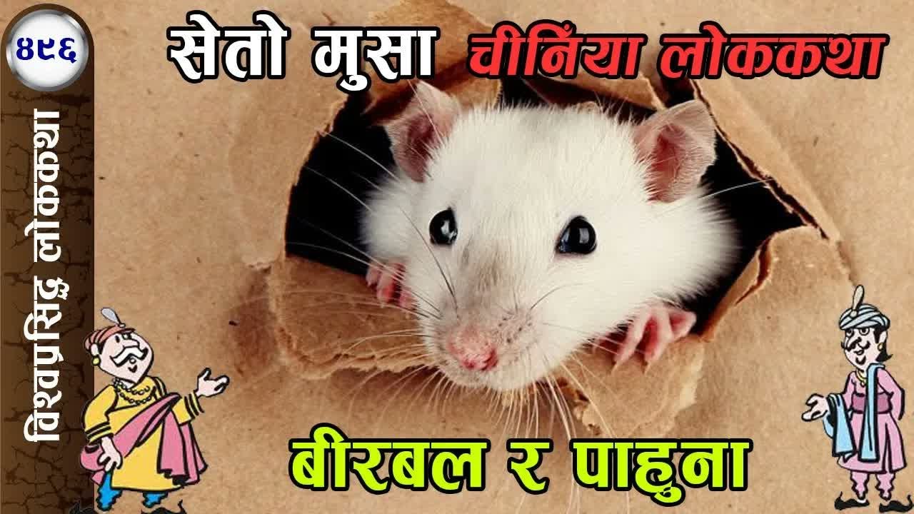 496) Two International Folk Tales India&China ｜ दुई विश्वप्रसिद्ध लोककथाः सेतो मुसा, बीरबल र पाहुना
