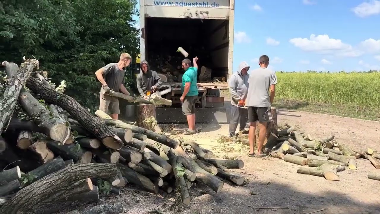 Ultimate Cutting Session | Stihl MS 361 & Stihl MS 462 C‑M