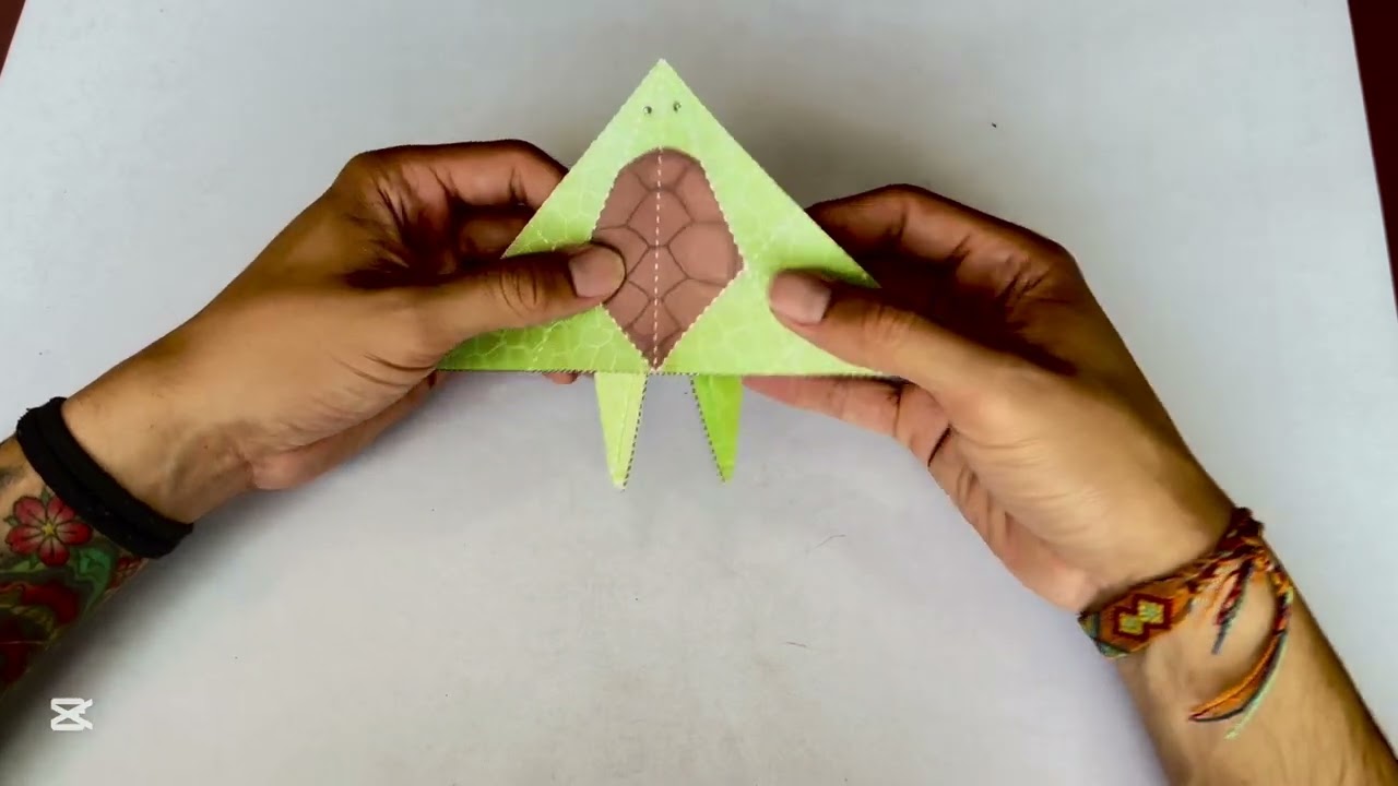 Origami Tortuga