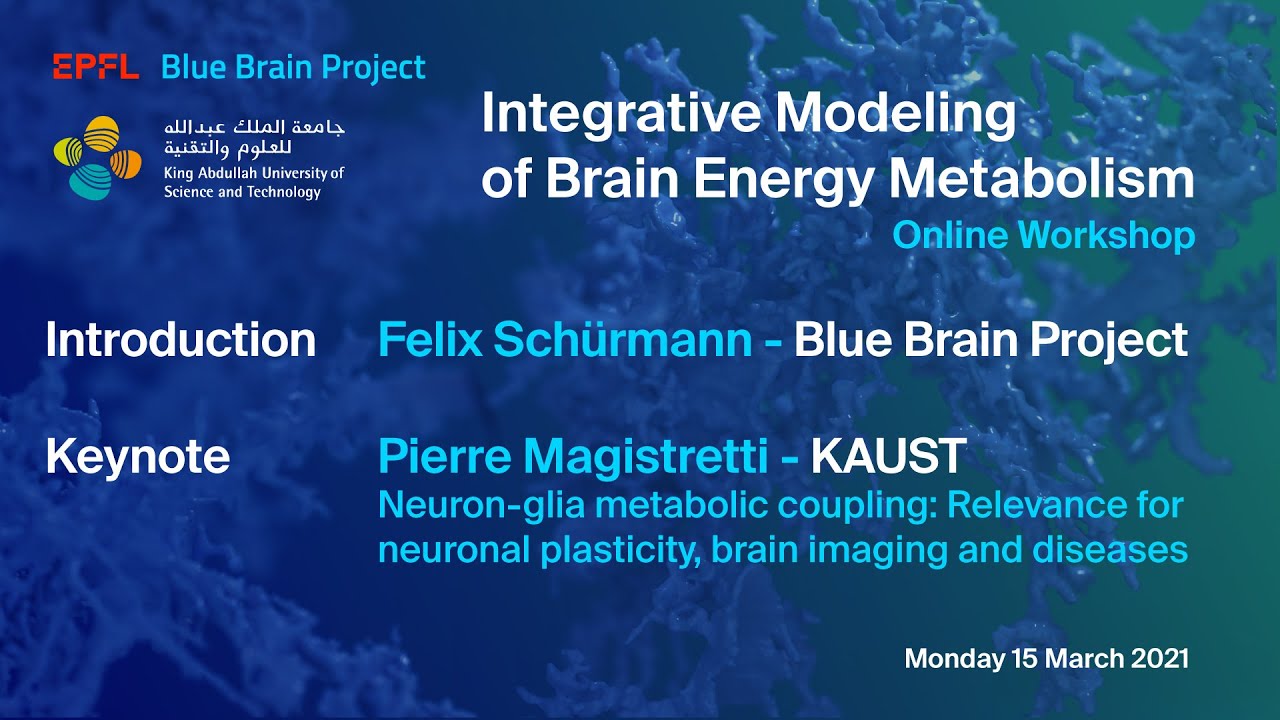 KAUST & EPFL Blue Brain Project workshop ‘Integrative Modeling of Brain Energy Metabolism’ Session 1