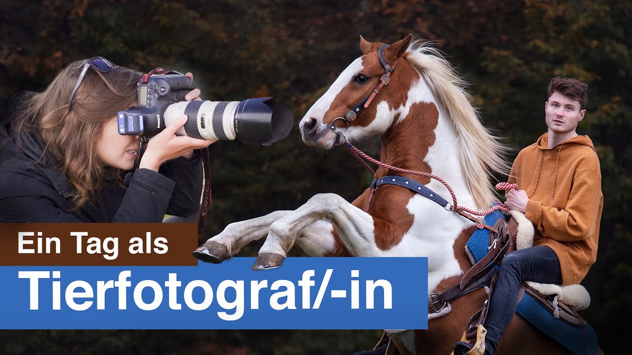 Ein Tag als Tierfotografin