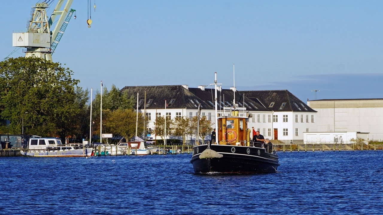 27/9-2025 Yndige Sildekoner i Nakskov