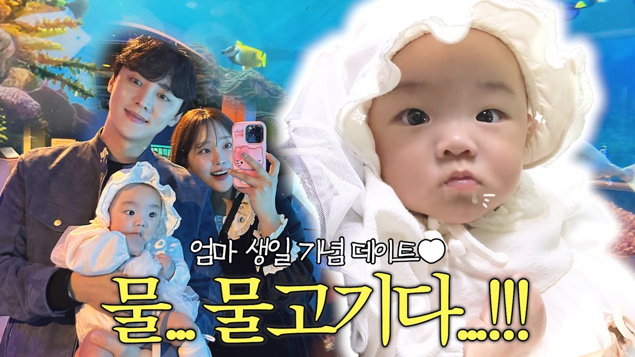 엄마 생일인데 하로가 주인공인 날🥹 아쿠아리움 도전기 🐠🩵