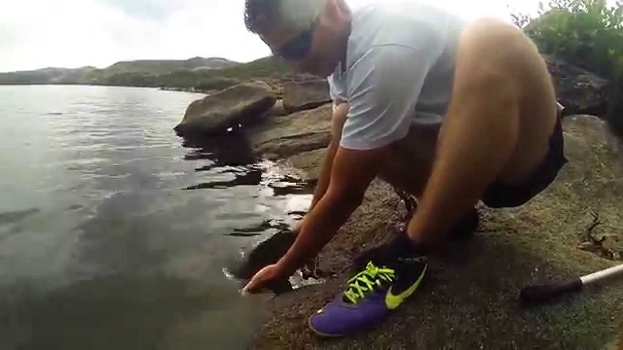 Pesca e Liberta - www.pescaliberta.pt