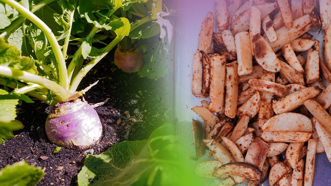 Garden to Kitchen | 