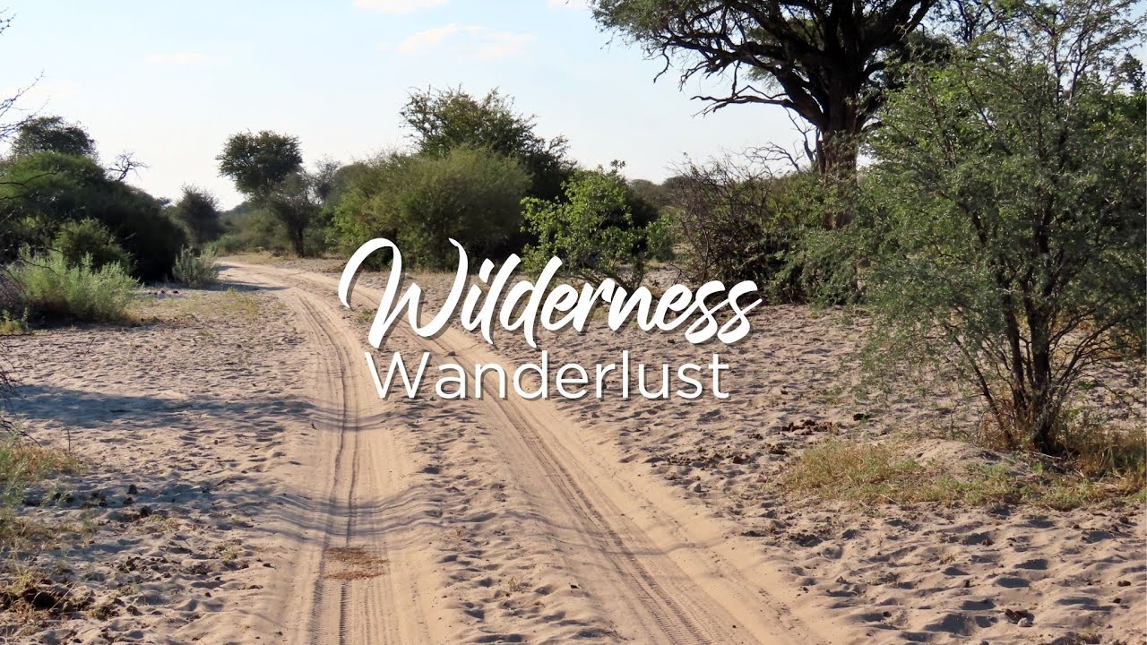 Wilderness Wanderlust Kgalagadi Trip Part 1
