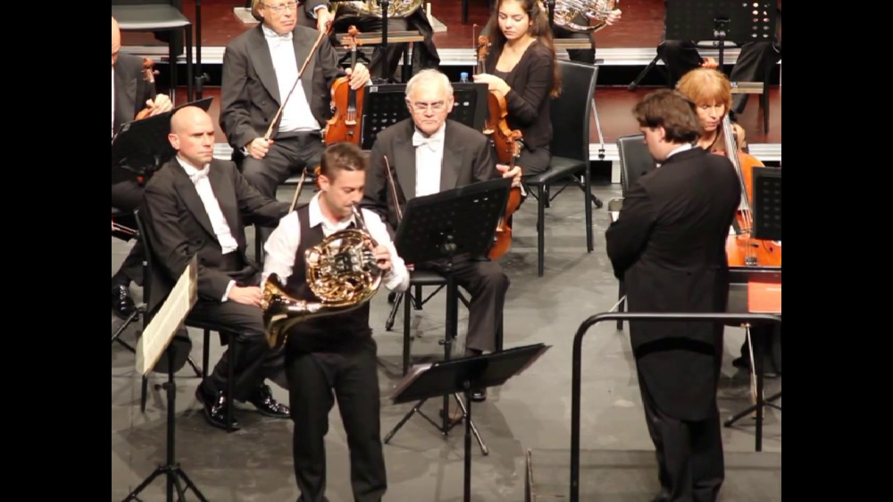 Concierto N.4 para trompa y orquesta de W.A.Mozart(kv495)