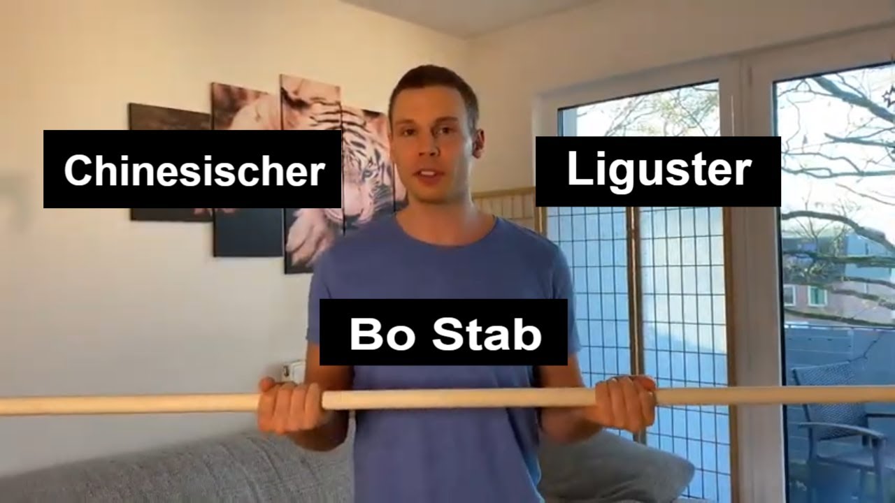 Bo Stab aus Chinesischem Liguster Unboxing Vergleich & Bruchtest