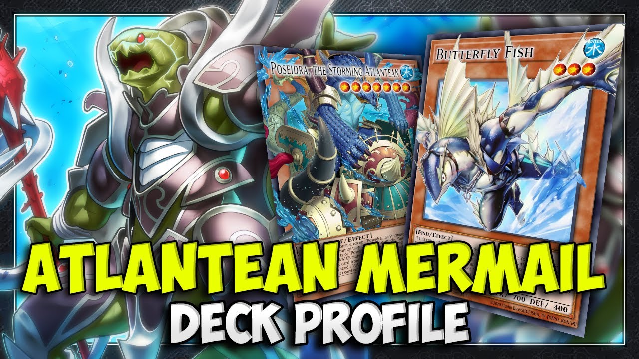 Mermail POST ALLIENCE INSIGHT Deck Profile + Combo Tutorial | May 2025 | Yu-Gi-Oh!