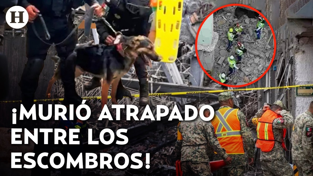 ¡Murió atrapado entre los escombros! Trabajador pierde la vida tras el colapso en San Antonio Abad