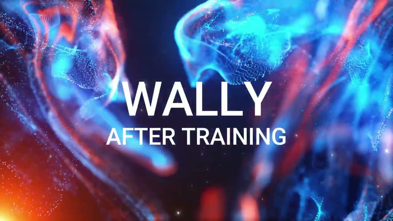 Wally Training Video