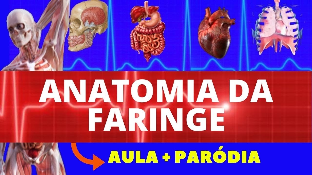 ANATOMIA DA FARINGE - AULA + PAR&Oacute;DIA (NASOFARINGE, OROFARINGE E LARINGOFARINGE) - SISTEMA DIGEST&Oacute;RIO