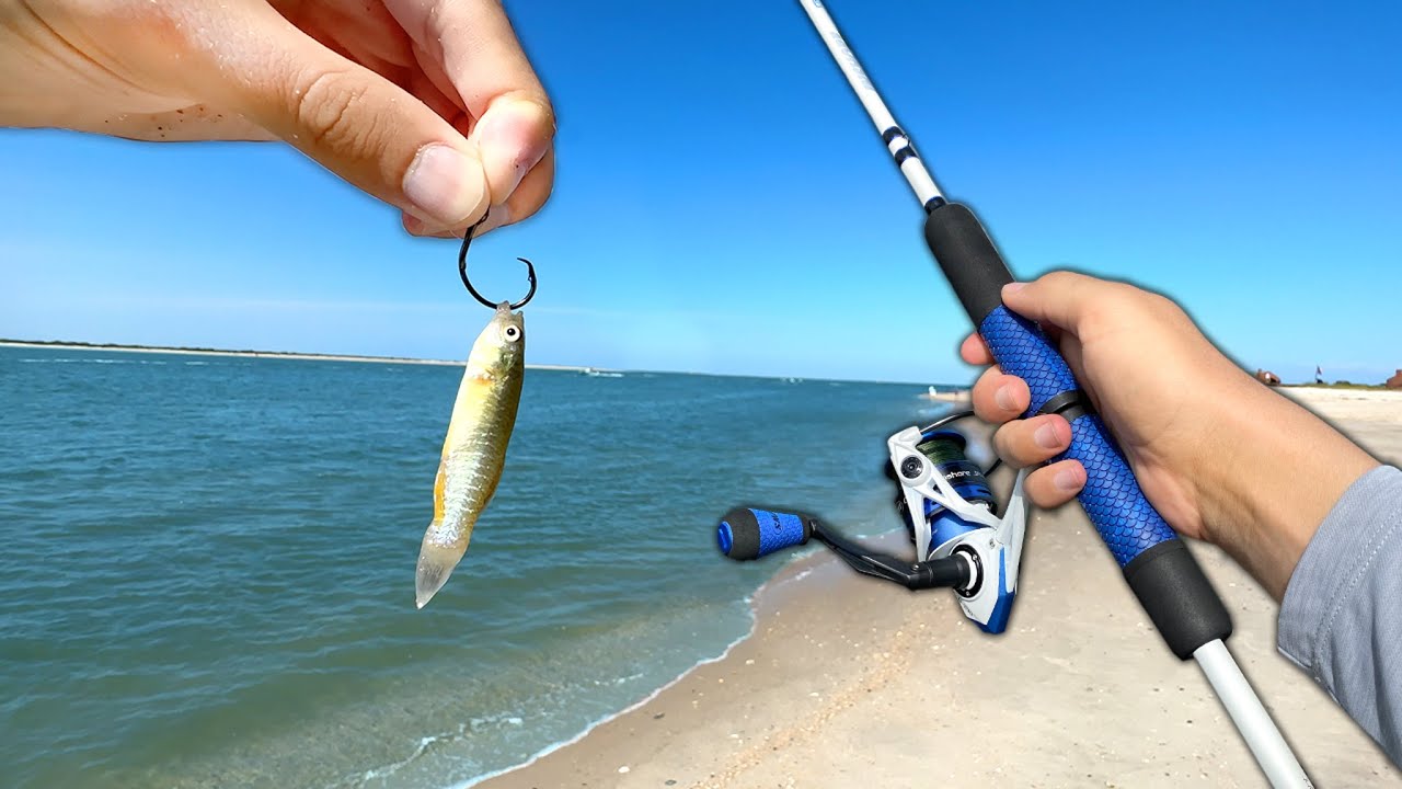 Fishing w/ MUD MINNOWS off the BEACH!! (Saltwater Fishing)