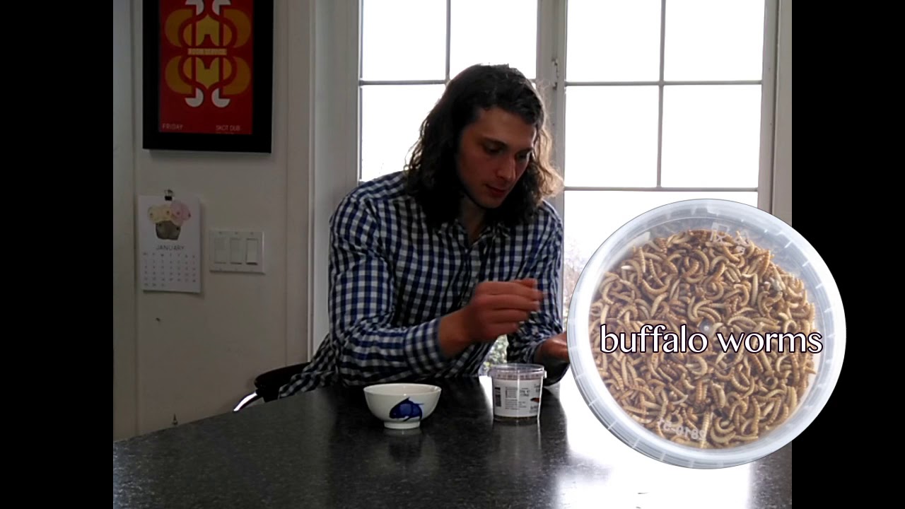 Eating Buffalo Worms for the first time